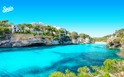 PAella nowiutki post od nowa